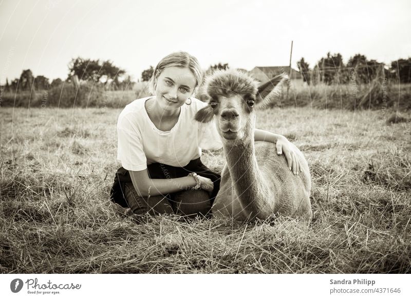 Girl with an alpaca in the pasture Alpaca Animal Animal portrait Cute Pelt Brown Exterior shot Curiosity Looking Looking into the camera Affection Close-up