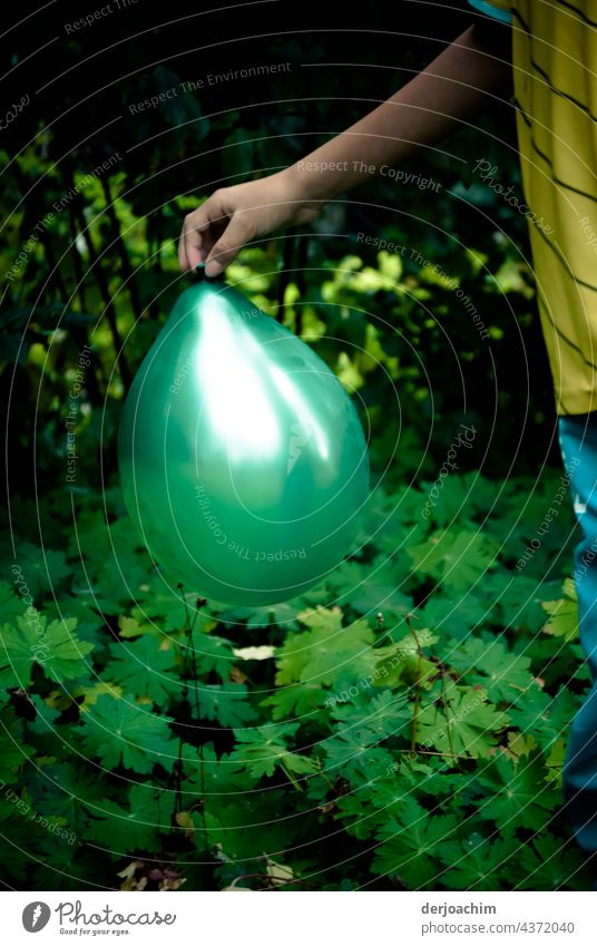 Balloon games in the garden. A child's hand holding a green balloon, halfway up in daylight. balloons Colour Happy Joy Happiness Multicoloured