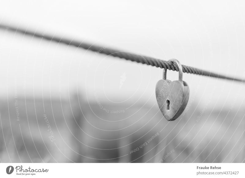 Heart shaped love lock by the sea Love Locks Love padlock Padlock Wire cable grasses dunes In love everlasting love heart-shaped Keyhole definitively