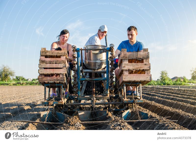 Farmer workers on a tractor plant potato seeds. Automation of process of planting potatoes seeds. High efficiency and speed. Agroindustry and agribusiness. New technological solutions to simplify work