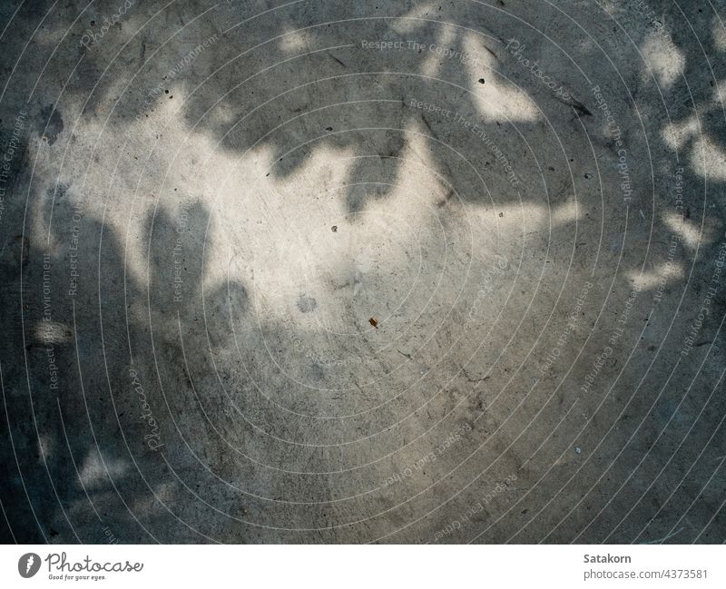 Leaf shadow on concrete floor abstract art background black blank beautiful bright dark detail dirt flat gray leaf leaves light material natural nature outdoors