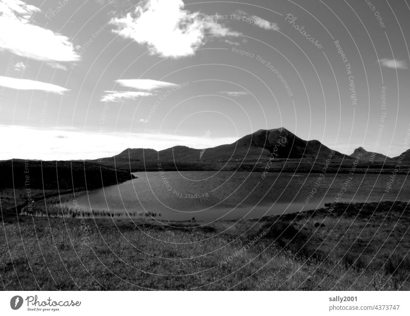 The lake rests still... Lake Gewässwr tranquillity Mountain Water Nature Landscape Sky Exterior shot Beautiful weather Lakeside Calm Idyll meditative Scotland