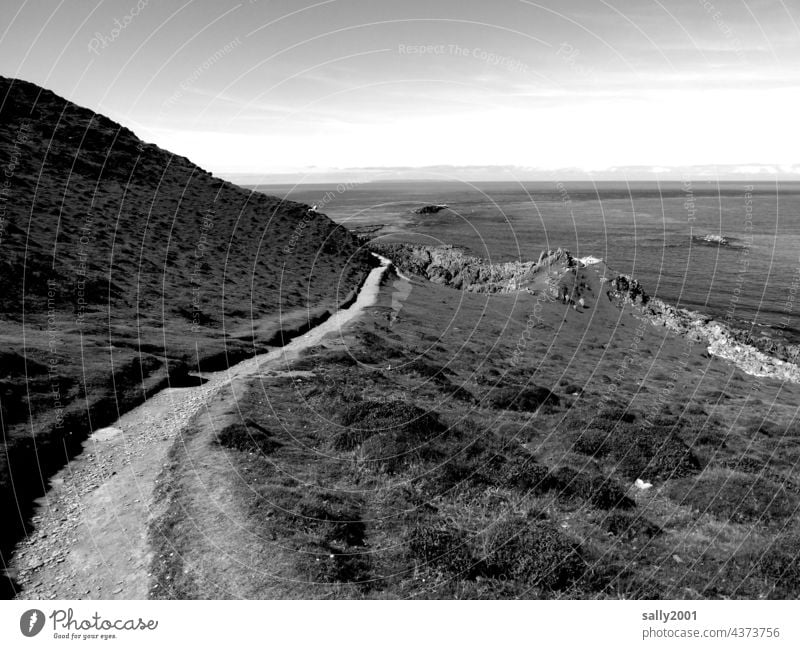 coastal path Lanes & trails off Coastal Path hiking trail Cliff England Great Britain Cornwall Landscape Ocean Nature Panorama (View) Beautiful weather Hiking