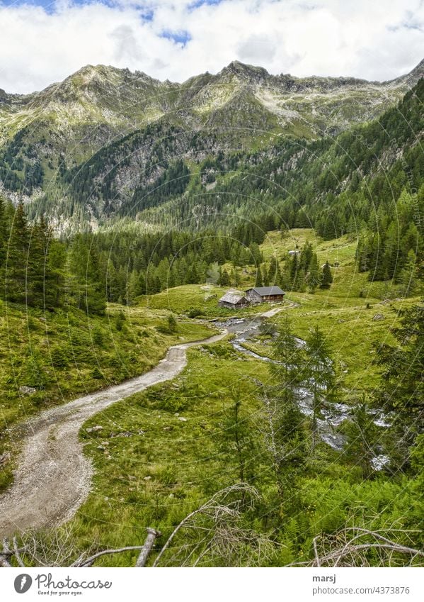 Neualm in the Obertal. Alpine idyll at the Obertalbach. Alpine huts Mountain stream Almanac Romanticism Alpine pasture Trip Adventure Landscape recover To enjoy