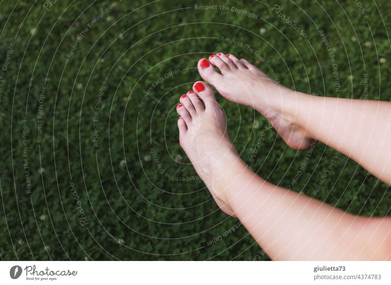 Close up of female feet with red painted toenails sunbathing Feet up Toenail Detail sunbathe sunshine sexy pretty Adults 18 - 30 years Young woman Sunbathing