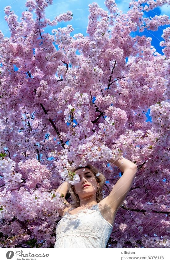 sensual, seductive, innocent portrait of a sexy, young woman in white dress in sakura pink blossoms in april, spring awakening, copy space Spring fragrance care