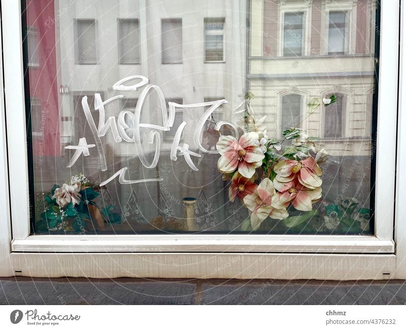 Perspectives Window Glass Reflection Bouquet Plastic Facades Graffiti Window frame windowsill dilapidated polluted Old sad Insight Vista