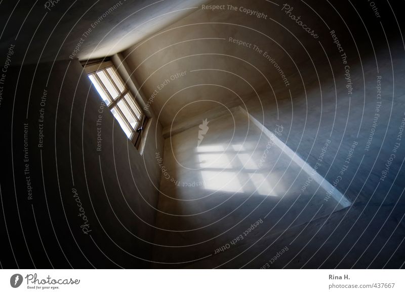 Window light II Wall (barrier) Wall (building) Staircase (Hallway) Dark Creepy Bright Lattice window Penitentiary Perspective Art Subdued colour Interior shot