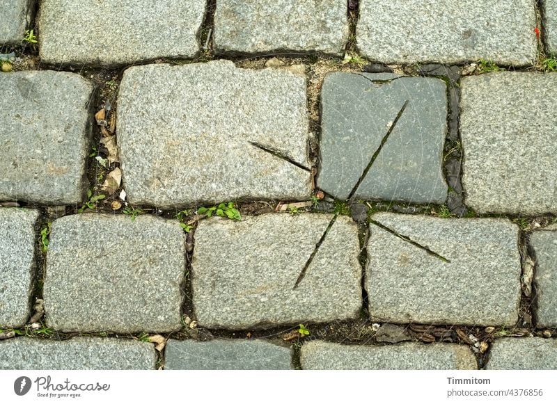 The other day in Nuremberg...cuts in paving stones Paving stone Places Gray lines Deserted Exterior shot Stone Lanes & trails