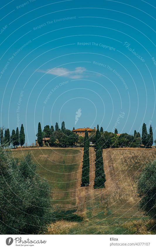 House on a hill in Tuscany with cypress trees and blue sky House (Residential Structure) Landscape Cypresses Hill Italy warm Summer Green Nature Blue sky