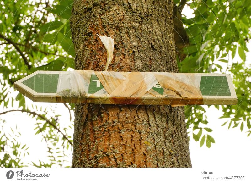 There we have the salad I There is good advice expensive / foil is wrapped around the sign - toilets - what is attached to a tree and siganalized, toilets closed