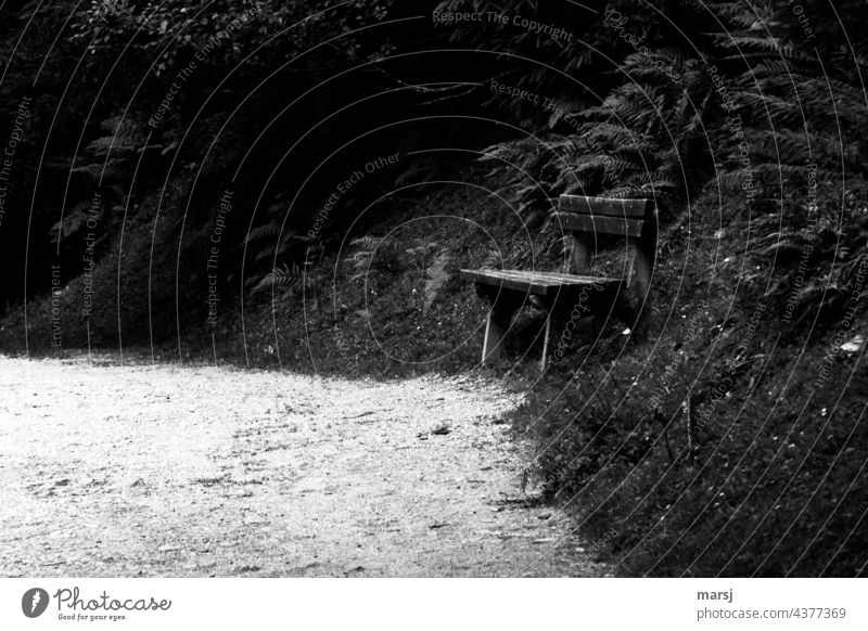 No need to rest too long on this quiet bench Wooden bench somber Bench Relaxation Calm Deserted Seating Break Loneliness Empty Nature Twilight Alarming