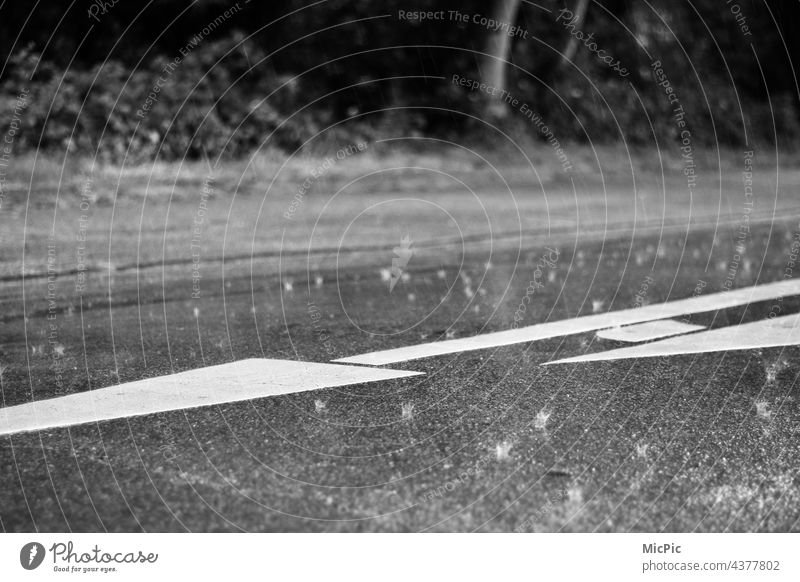 Wet road marking rain falls on a road Lane markings Rainy weather raindrops Bad weather Summer 2021 it's raining wet road black and white Black & white photo