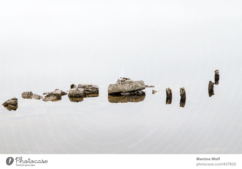 of sticks and little stones Nature Lake Stone Wood Calm Serene Great Britain Scotland Stick Reflection Water Black & white photo Exterior shot Detail Abstract