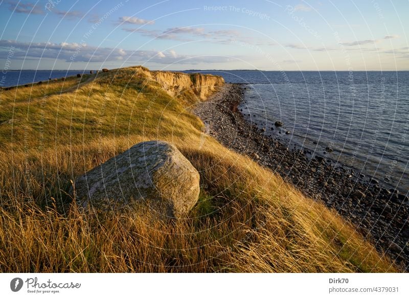 Ordrup Næs Peninsula, Zealand, Danish Baltic Sea coast Beach steep coast cliff Stone Ocean Landscape Nature Water Sky Exterior shot Rock Idyll Deserted