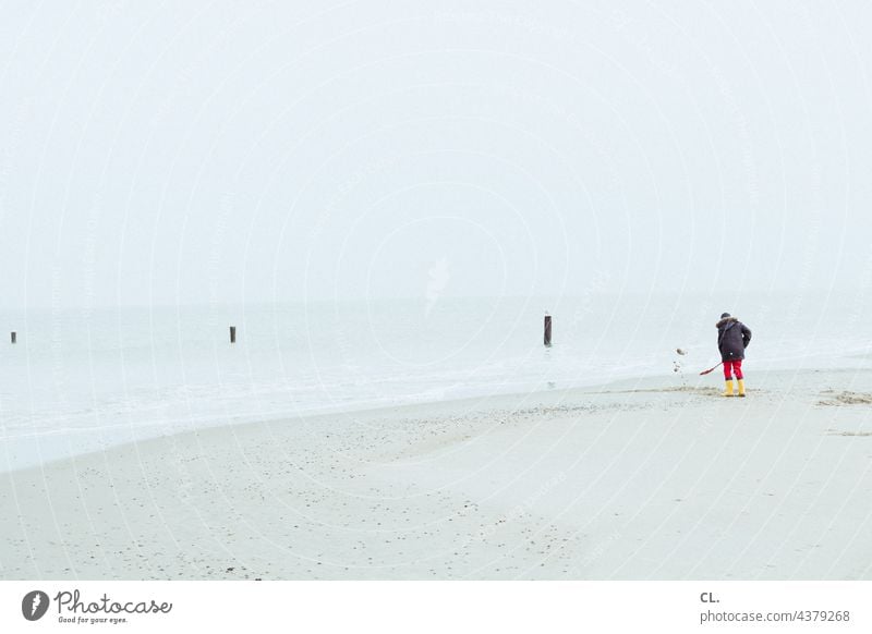 On the beach Beach Sand Island Ocean Shovel Water coast Far-off places Sky Horizon tranquillity wide Loneliness on one's own Sisyphus Vacation & Travel