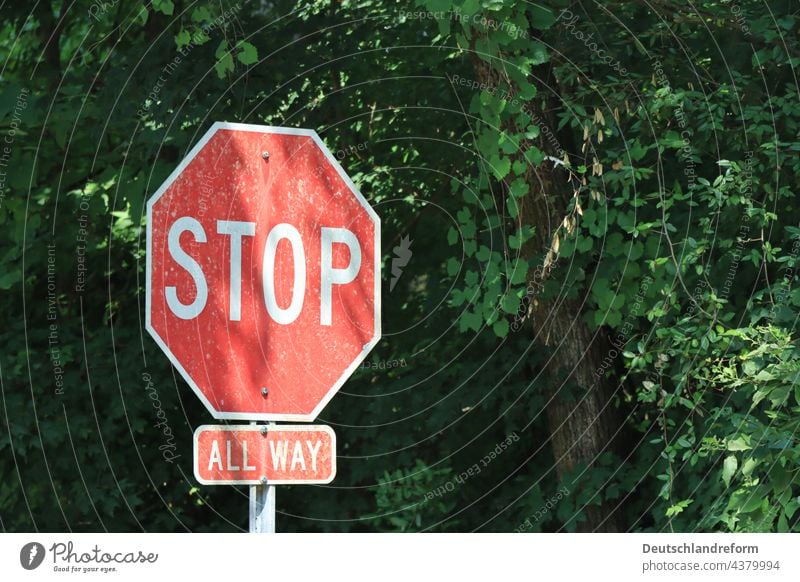 Red stop sign in front of green trees Signage Signs and labeling Transport Road sign Hold Stop sign Street Traffic infrastructure Warning sign Road traffic