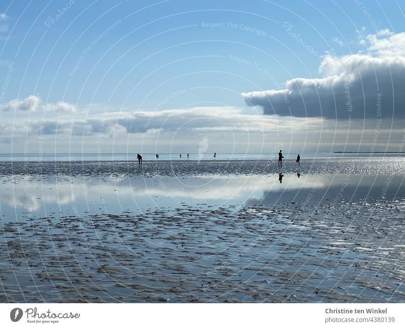 Silhouettes small, clouds reflected in the mudflats, beautiful and endlessly wide watt Mud flats mudflat hiking tour people silhouettes Tidal flat