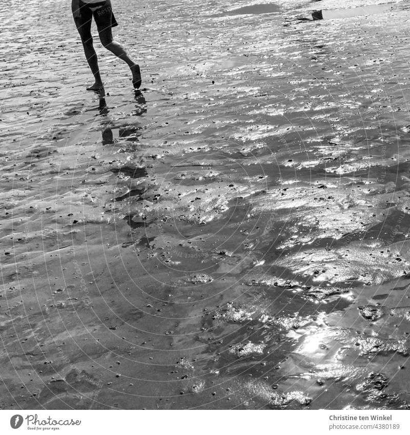 Walk alone, legs reflected in the mudflats, wet sun shine mudflat hiking tour watt Woman Walking To go for a walk Beautiful weather Summer Water reflection