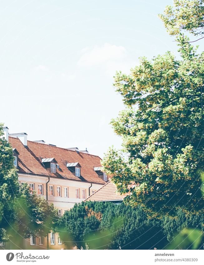 Historic building in Old Town in summer ancient architecture city cityscape croatia culture estonia europe german germany heritage historic history home house