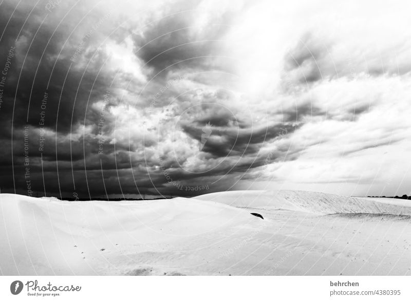 surreal | gravel plant Landscape Light Contrast Storm clouds Bad weather Exterior shot Weather Thunder and lightning Dark Threat Climate change Nature