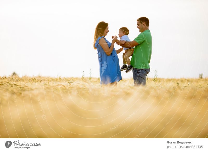 Young family with cute little boy having fun outdoors in the field adult beautiful caucasian child childhood countryside dad emotions enjoy father female grass