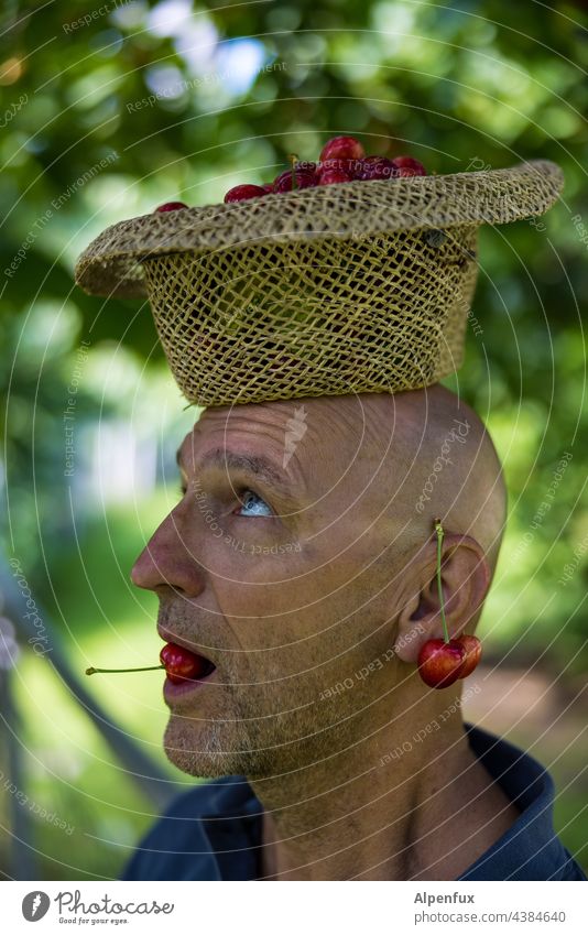 Cherry man with cherry earring eats cherry | Parktour HH 21 Man Only one man portrait cherries Face of a man Earring 1 Person Adults Human being eat cherries