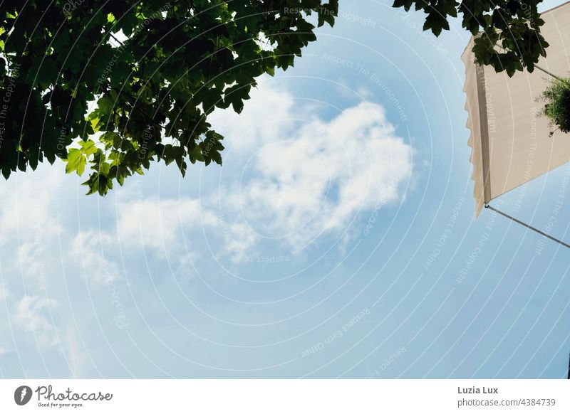 Sky high... an awning in light height in front of blue sky and fleecy clouds, in addition green foliage of high trees Summer Blue sky-high Manmade structures