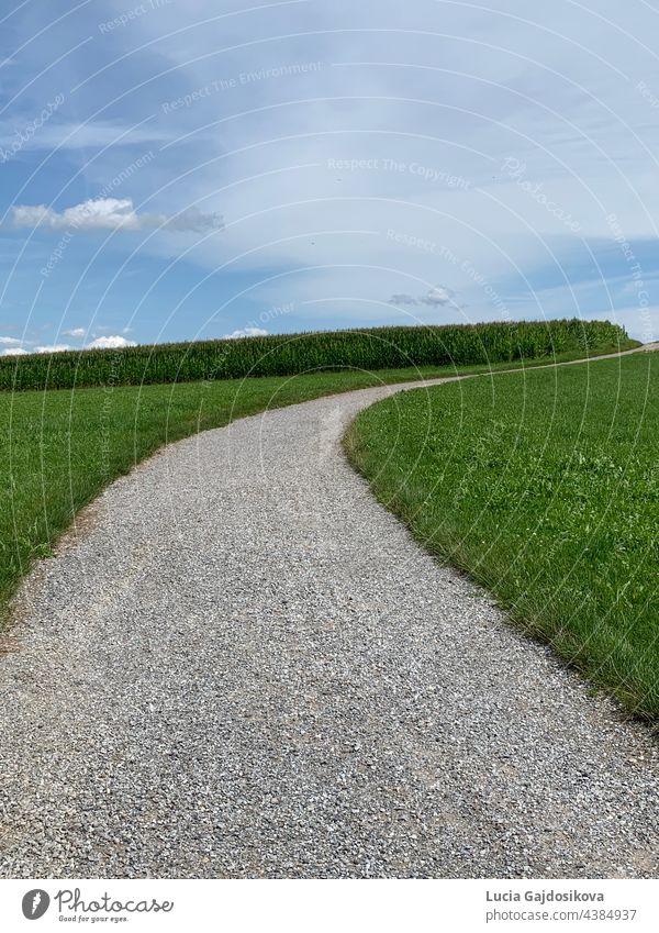 Country road disappearing on the horizon. It is meandering among meadows and fields. countryside gravel road road meandering pastures landscape switzerland