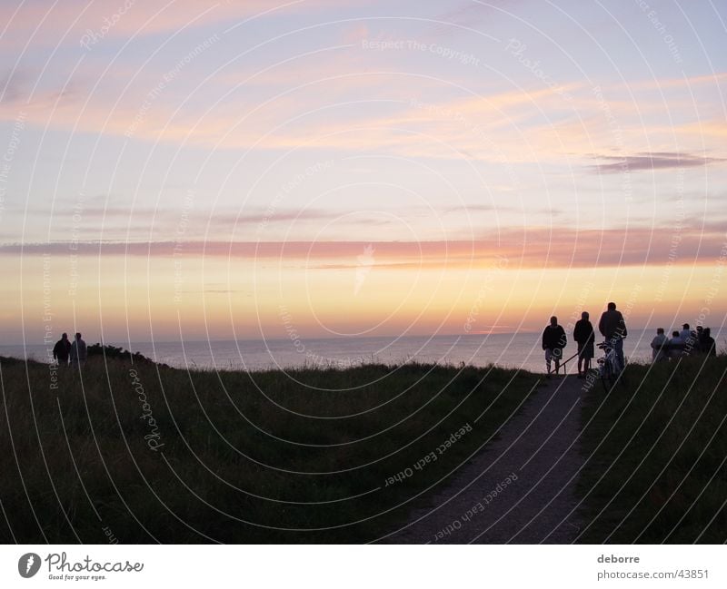 People standing at the top of dunes looking at the sunset over the sea. Sunset Audience Clouds Ocean Vacation & Travel Calm Sky Beach dune Denmark Water Nature