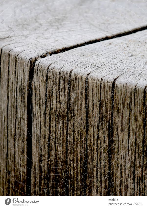 Wood grain of a groyne at the Baltic Sea beach Break water Ocean Beach Detail Texture of wood trunk flute groove edge Furrow Time Weathered Old Shadow coast