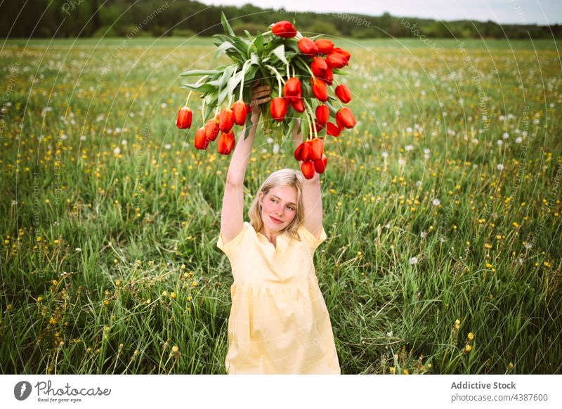 Tender woman with bunch of tulips in field flower bouquet floral meadow summer smile female happy bloom blossom nature fresh tender red color glad joy delight