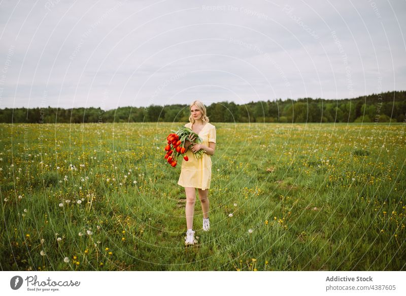 Gentle woman with bouquet of red tulips in field flower summer bunch meadow tender smile female content bloom blossom romantic young nature countryside flora