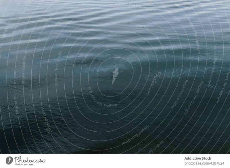 Rippled water of calm lake background ripple surface abstract aqua pond fresh natural nature tranquil liquid quiet peaceful environment daytime harmony texture