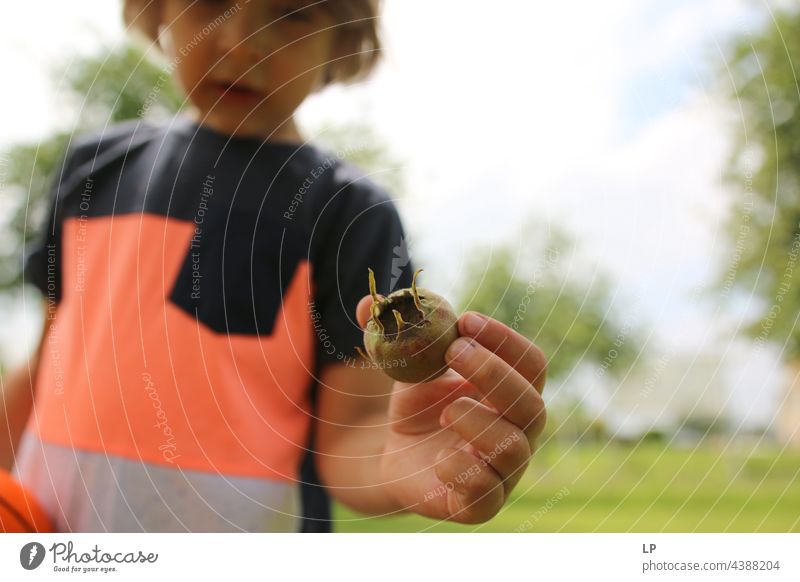 boy showing a small fruit to the camera vegan Vegan Food Vegan diet Appealing Appetizer appetizing Positive low-fat Tasty Image Wallpaper Gluttony