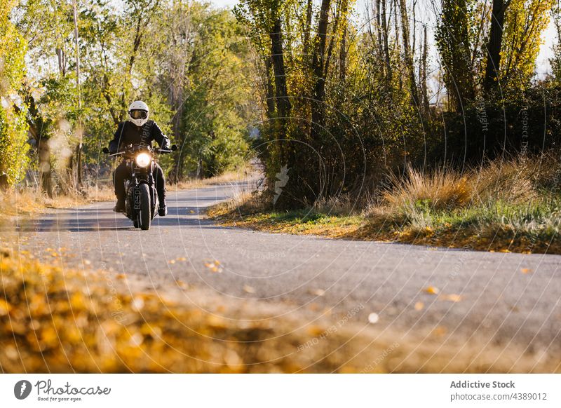 Biker Driving Motorcycle In Countryside bike road biker fast wheel drive ride adventure nature motorbike street active adrenaline asphalt autumn black blur