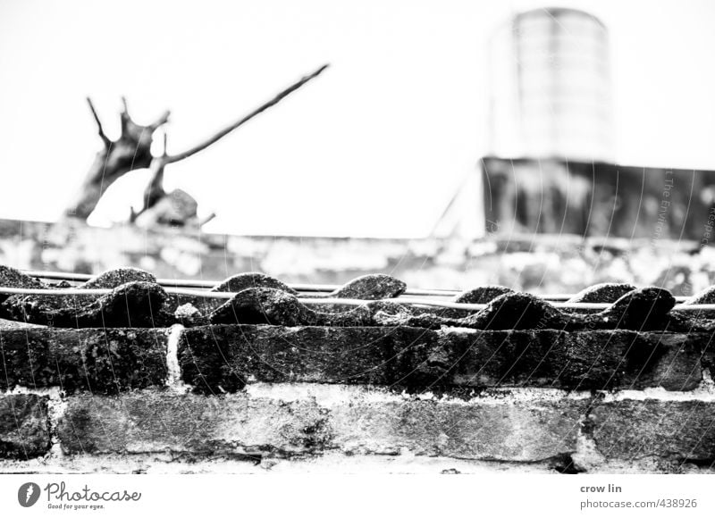 only Outskirts Old town House (Residential Structure) Architecture Wall (barrier) Wall (building) Roof Contentment Perspective Black & white photo Deserted