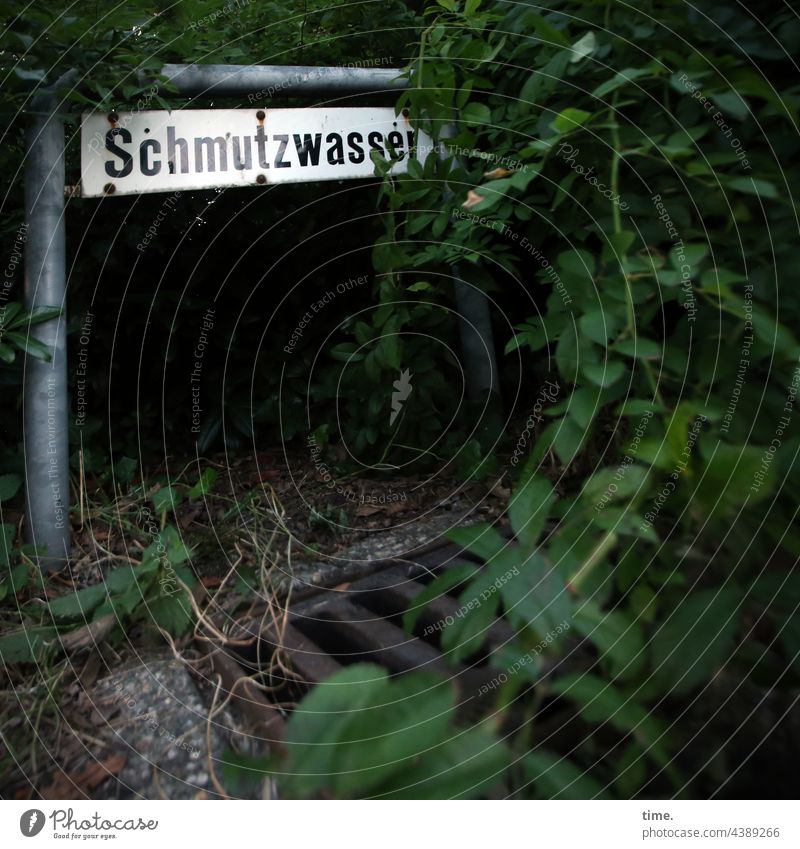 Signs | way down underworld Wastewater sign Drainage Metal shrubby covert overgrown Clue Water Gully Information embassy Orientation Drainage system