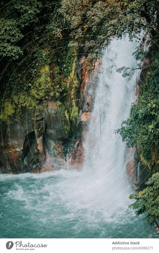 Waterfall stream in green jungle waterfall pond mountain nature landscape highland motion energy power dynamic cascade flow foam ripple splash fluid fast rapid