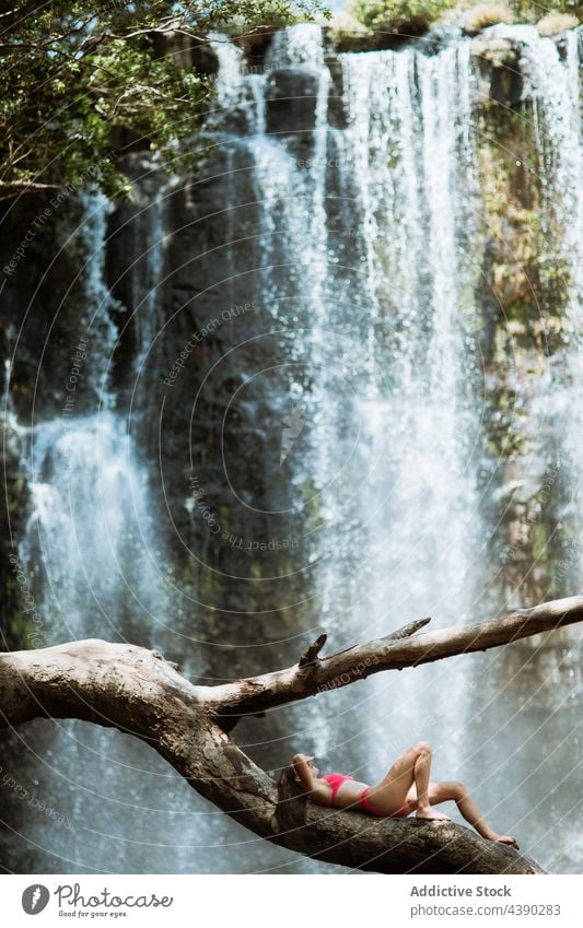 Woman in bikini relaxing near waterfall woman rock tree nature traveler stream splash chill alone fresh female rest tourist vacation journey recreation