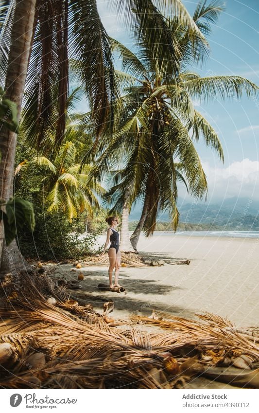 Young woman on tropical seashore beach sand palm summer vacation travel holiday paradise nature enjoy seaside ocean female coast exotic idyllic tourism peaceful