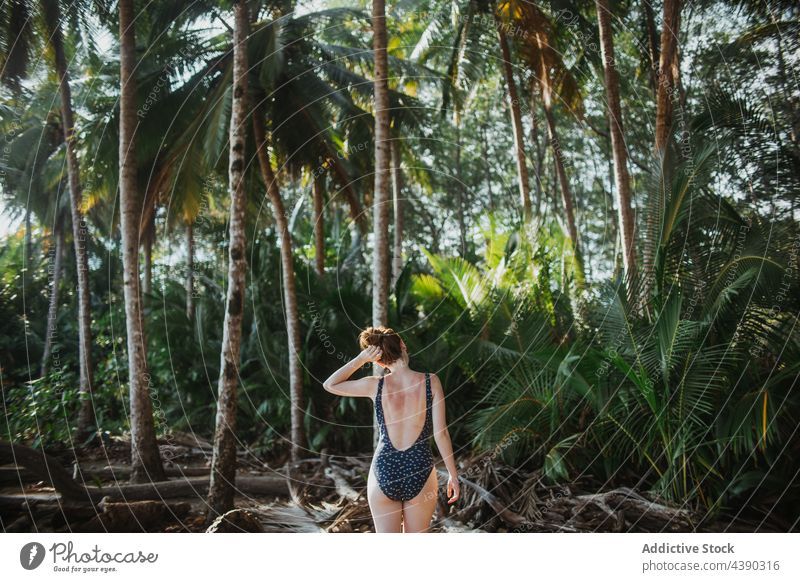 Anonymous carefree woman relaxing on tropical beach palm bikini summer peaceful nature vacation travel holiday paradise enjoy female young exotic idyllic