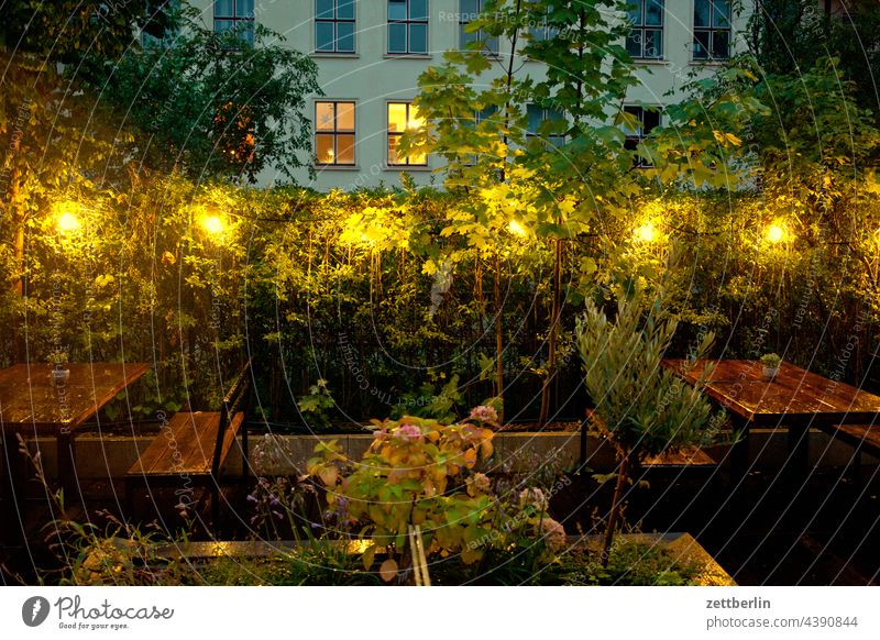 Gastronomy without guests Evening Bench Lighting Berlin Beer garden free seating gastronome Green Roadhouse Empty Lichtenberg Deserted Night Park Plant Seat