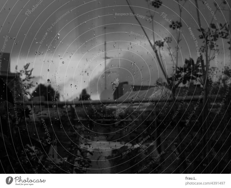 rain Window pane Chimney Roof terrace Sky Nature Balcony raindrops Rain Plant rooftop landscape Building Town House (Residential Structure) Day Clouds Lovage