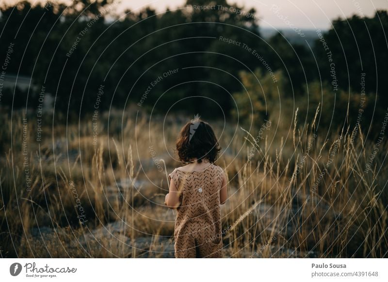 Rear view girl on the fields Child Girl 3 - 8 years Toddler Joy Playing Day Human being Infancy Colour photo Exterior shot 1 - 3 years Authentic Summer