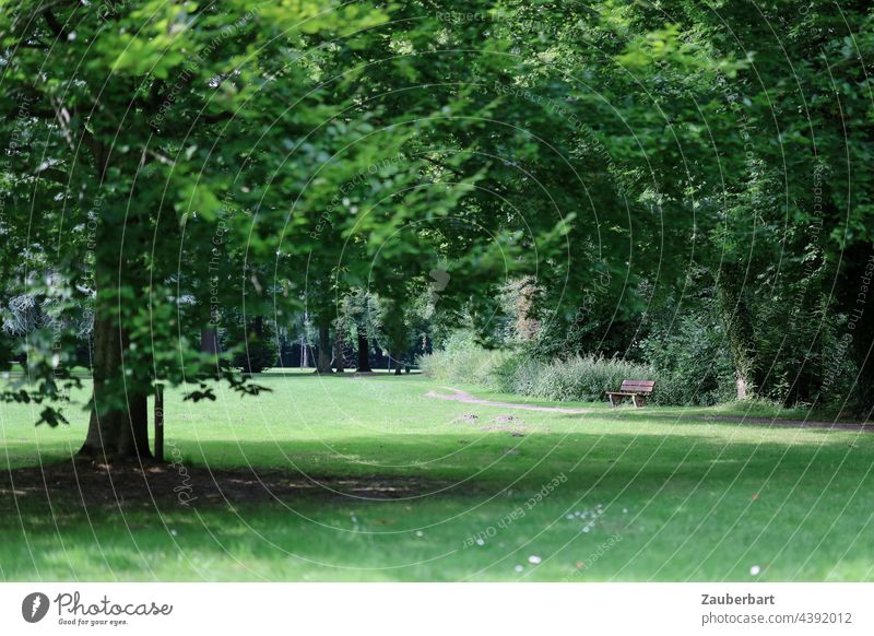 Park with meadow, trees and bench city park Park landscape Meadow Tree Shadow Bench Green Relaxation tranquillity Summer Grass Landscape Rural conservation