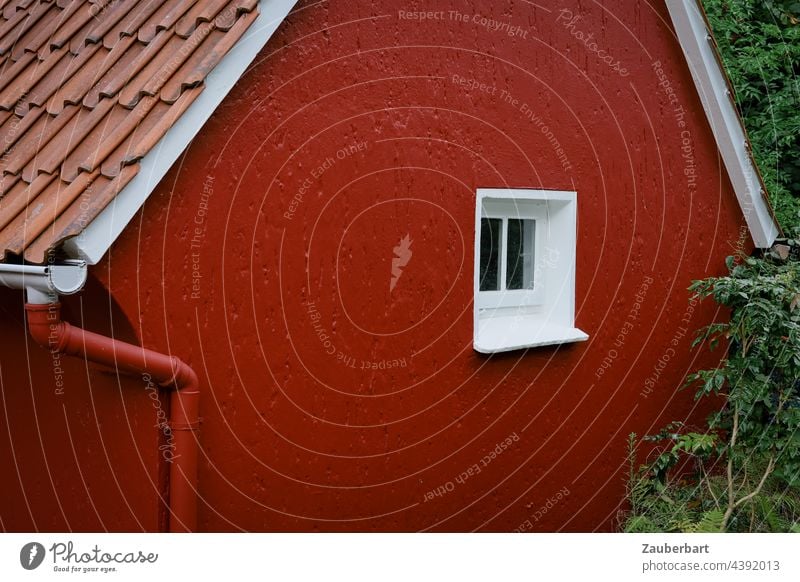 Small red house with white window House (Residential Structure) Red White Window Facade Wall (building) Exterior shot Building Contemplative Small Town Village