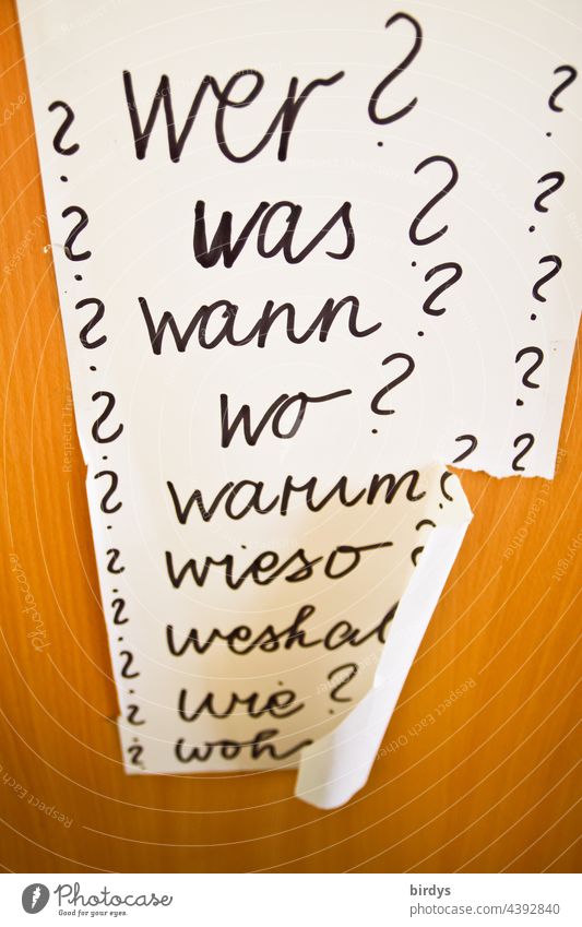 w-words in cursive with question mark on a paper. Orange background W words why Why When Where Question mark Ask ? Characters Perplexed asking Question words