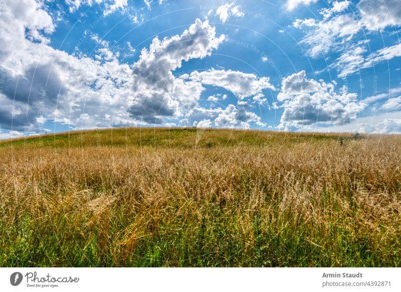 landscape with fields, meadow and dramatic sky in mecklenburg western pomerania germany nature rural cloud summer cloudscape countryside background cloudy