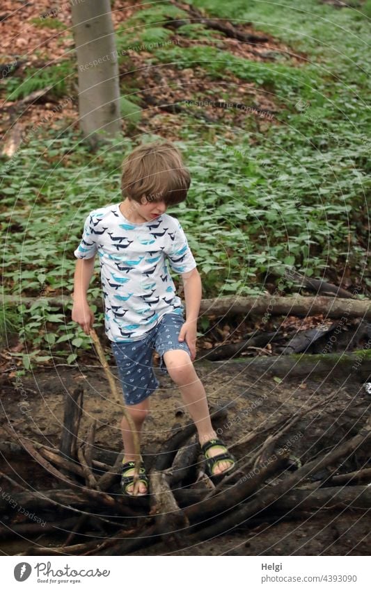 Boy playing in the forest by a stream with a crossing of branches Child Boy (child) Schoolchild Forest Playing out fire fun Brook Tree Adventure Infancy Nature